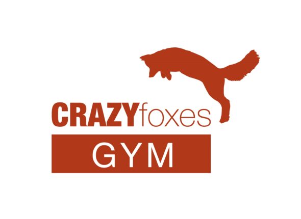 CRAZYFoxesGYM-logo