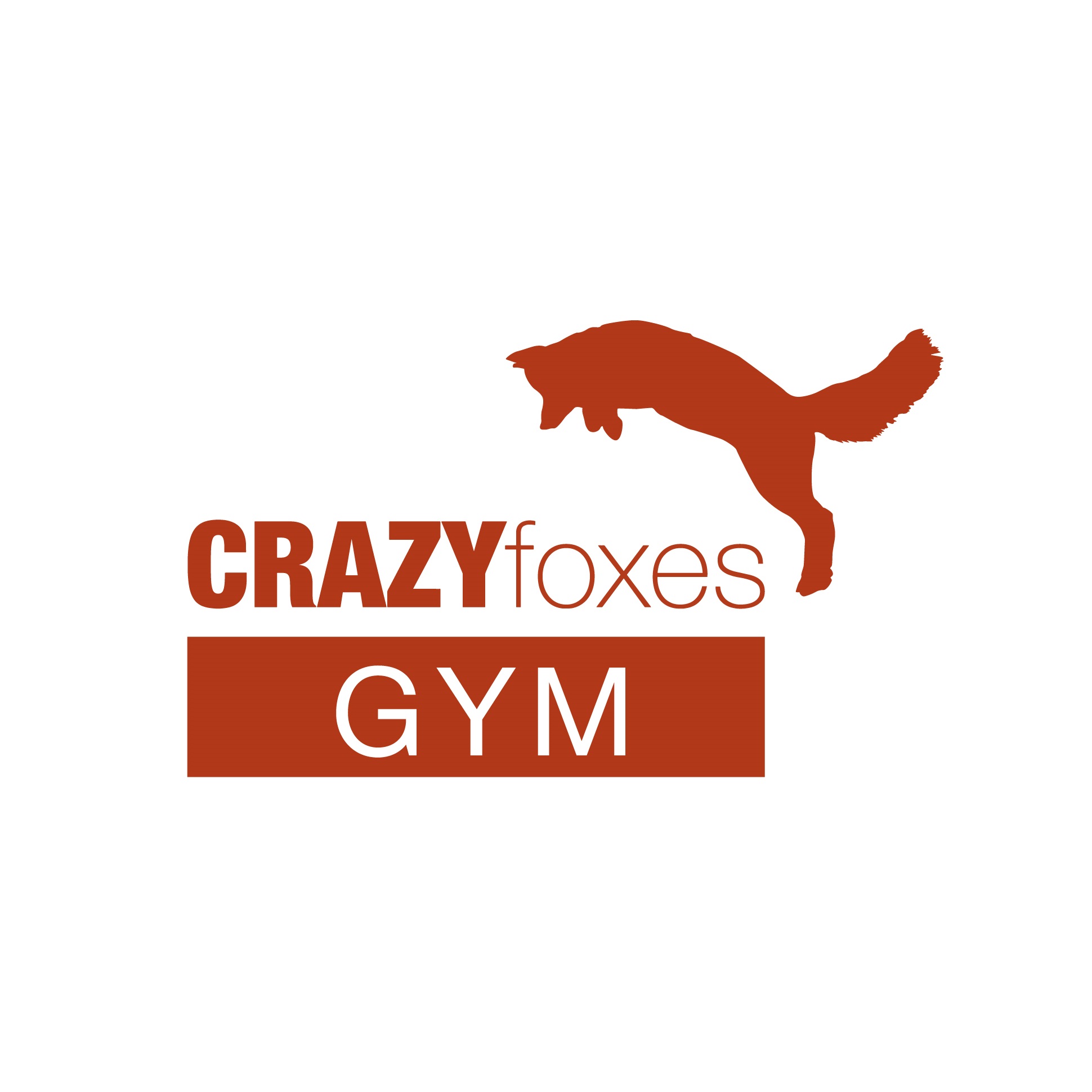crazyfoxesgym.com