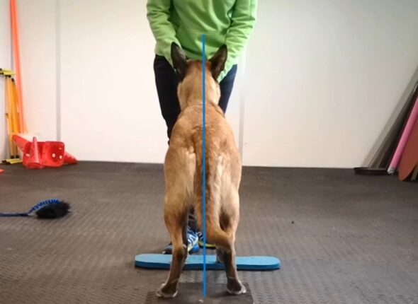 Tiesus hendlinimas crop