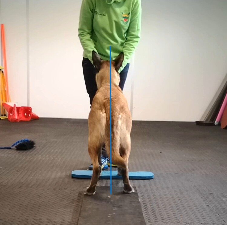 Tiesus hendlinimas crop