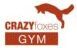 CRAZYFoxesGYM-logo