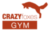 crazyfoxesgym.com